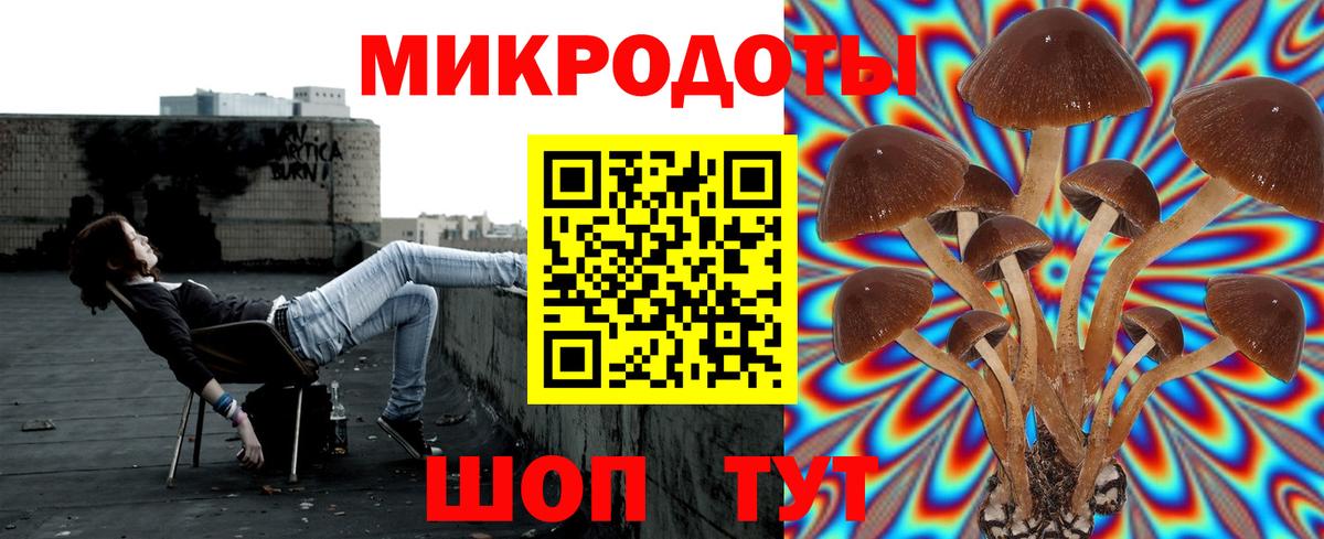 Псилоцибиновые грибы прущие грибы Ейск